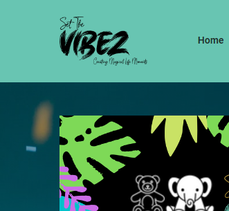 Set The Vibez LLC