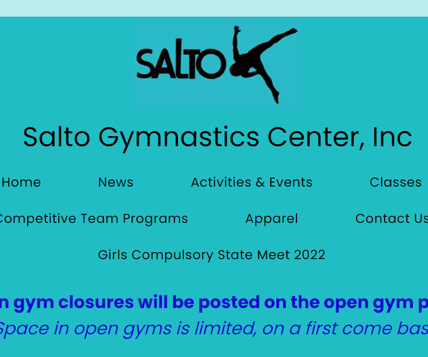 Salto Gymnastics Center  Kids Out and About Milwaukee