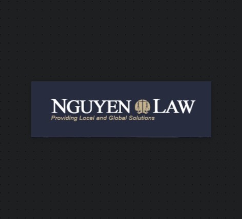 Nguyen Law, LLC - David Hoa Khoa Nguyen, Attorney at Law