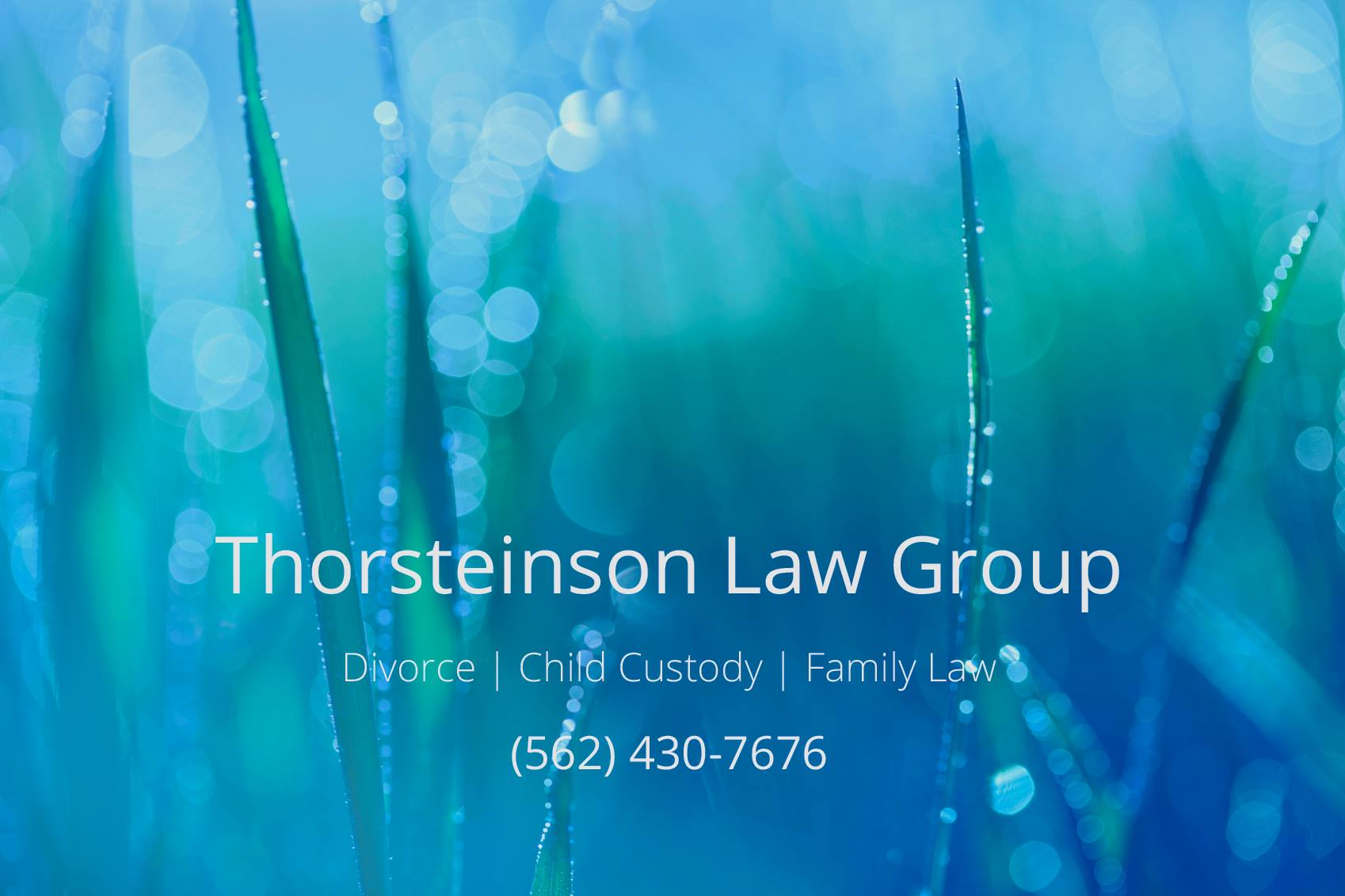 Thorsteinson Law - Divorce and Family Law