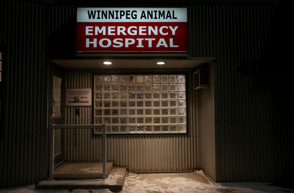 Winnipeg Animal Emergency Hospital