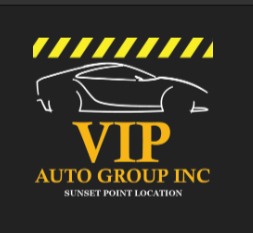Vip Auto Group, Inc.