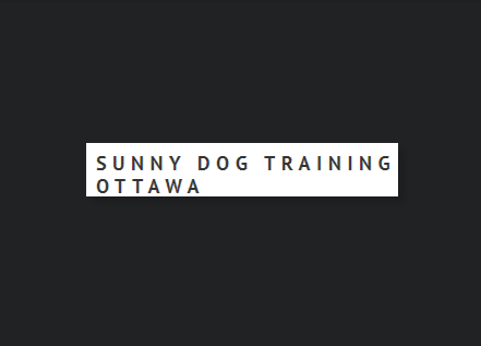 Sunny Dog Training Ottawa