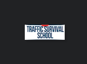 Traffic Survival School