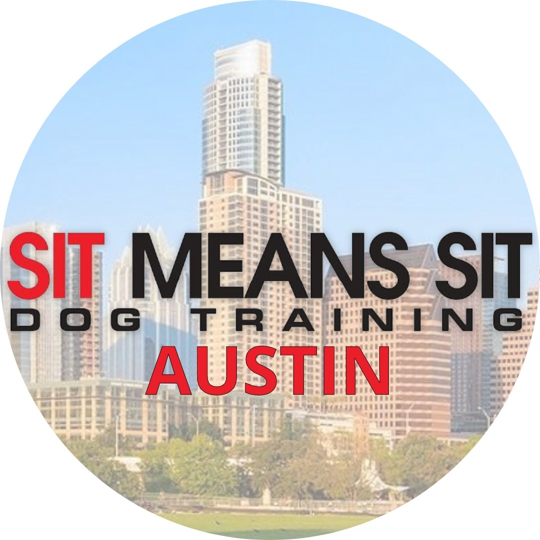 Sit Means Sit South Austin
