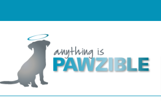 Anything Is Pawzible
