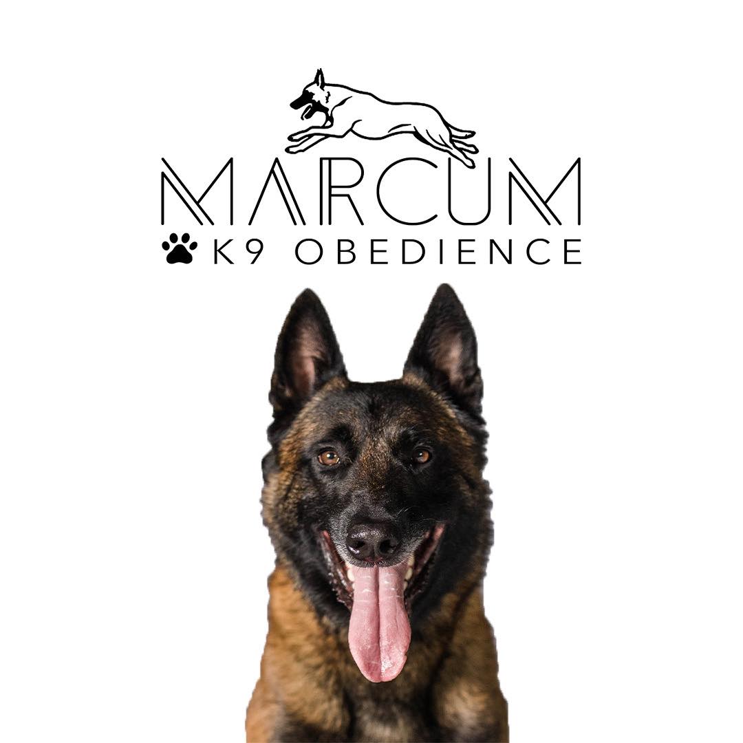 Marcum K9 Obedience