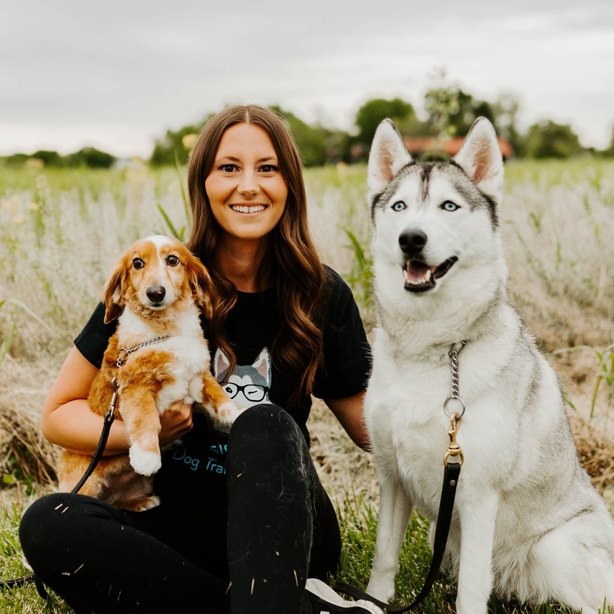 Professional Pups Dog Training LLC