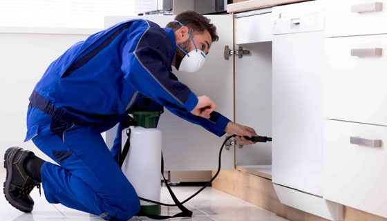 PEST IN PEACE CONTROL SOLUTIONS INC.