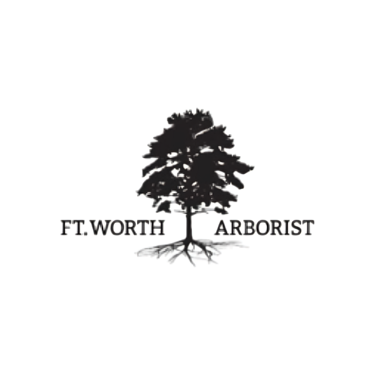 Fort Worth Arborist