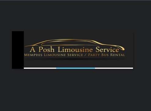 A Posh Limousine Service