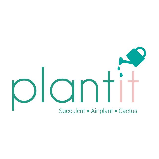 Plantit - Succulent, Air Plant, Cactus