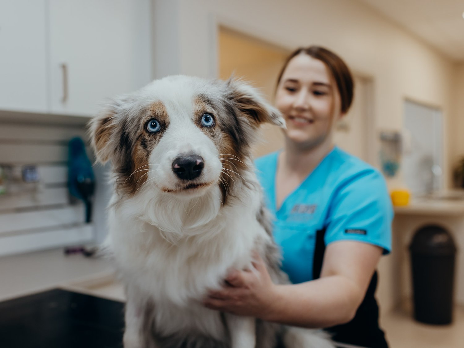 Acadia Veterinary Clinic