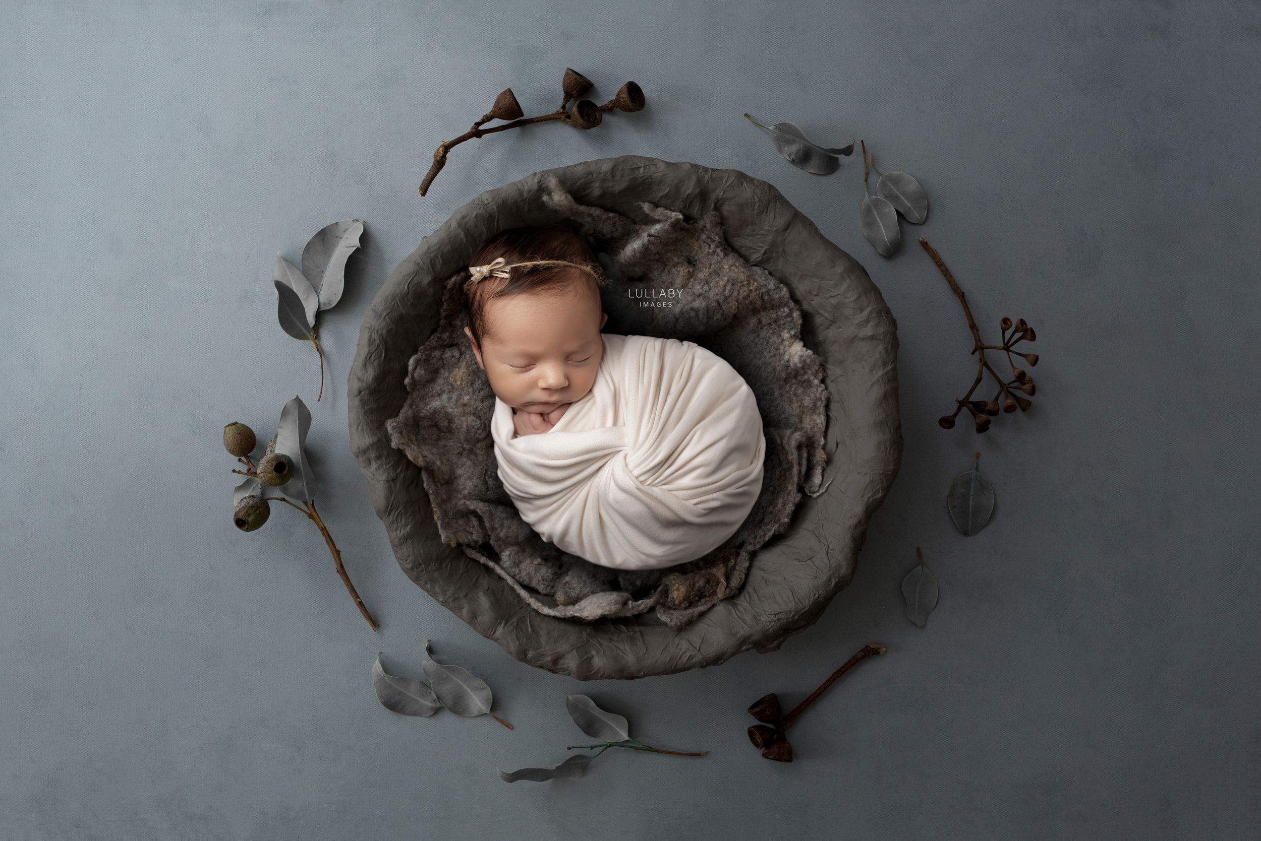 Jessica Lynch Photography