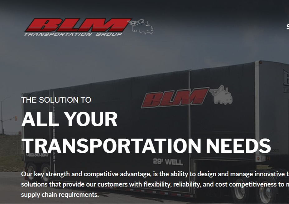 BLM Group Inc